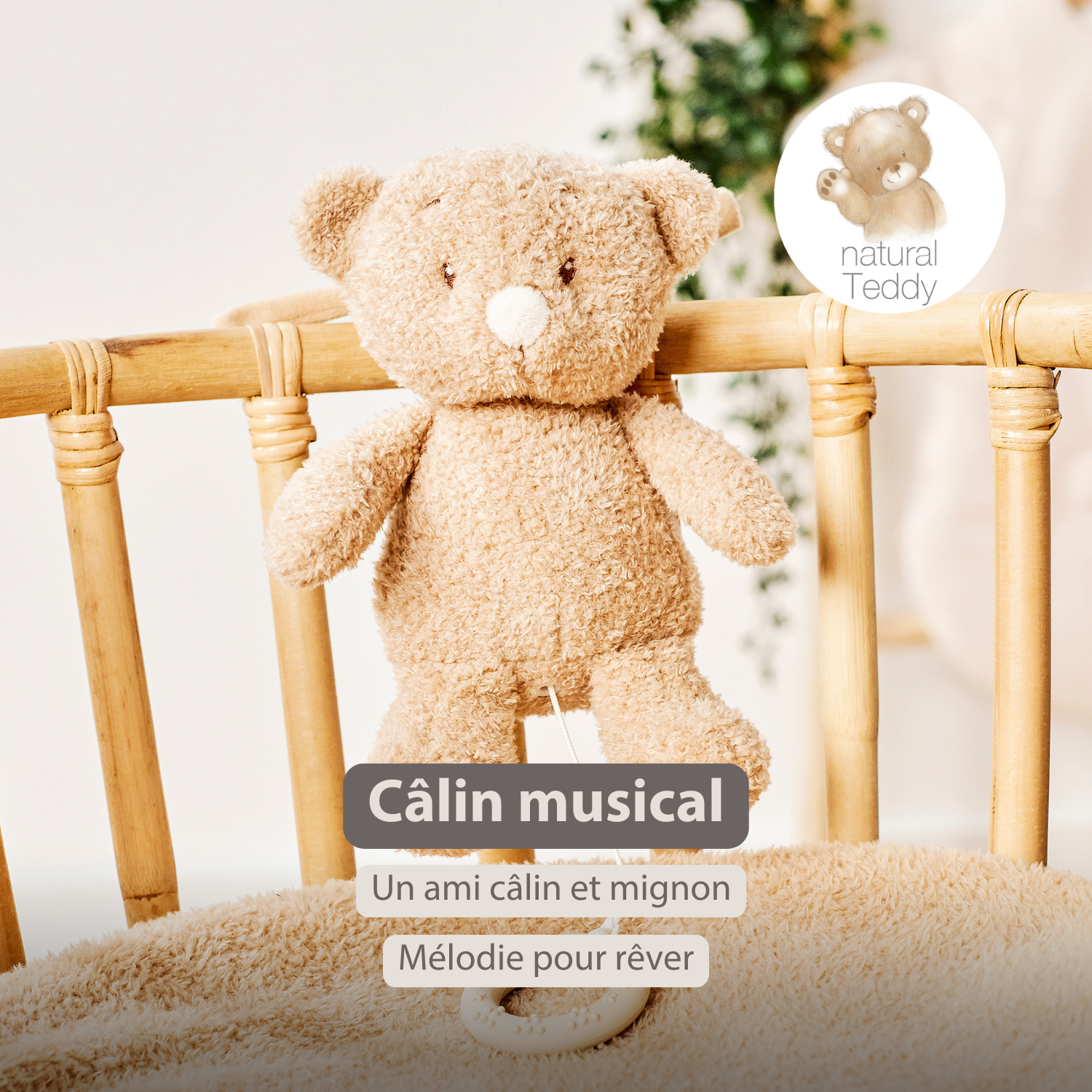 TEDDY Music Plush Bear – 25 cm – Soft Plush Toy with Music – Beige [FR]