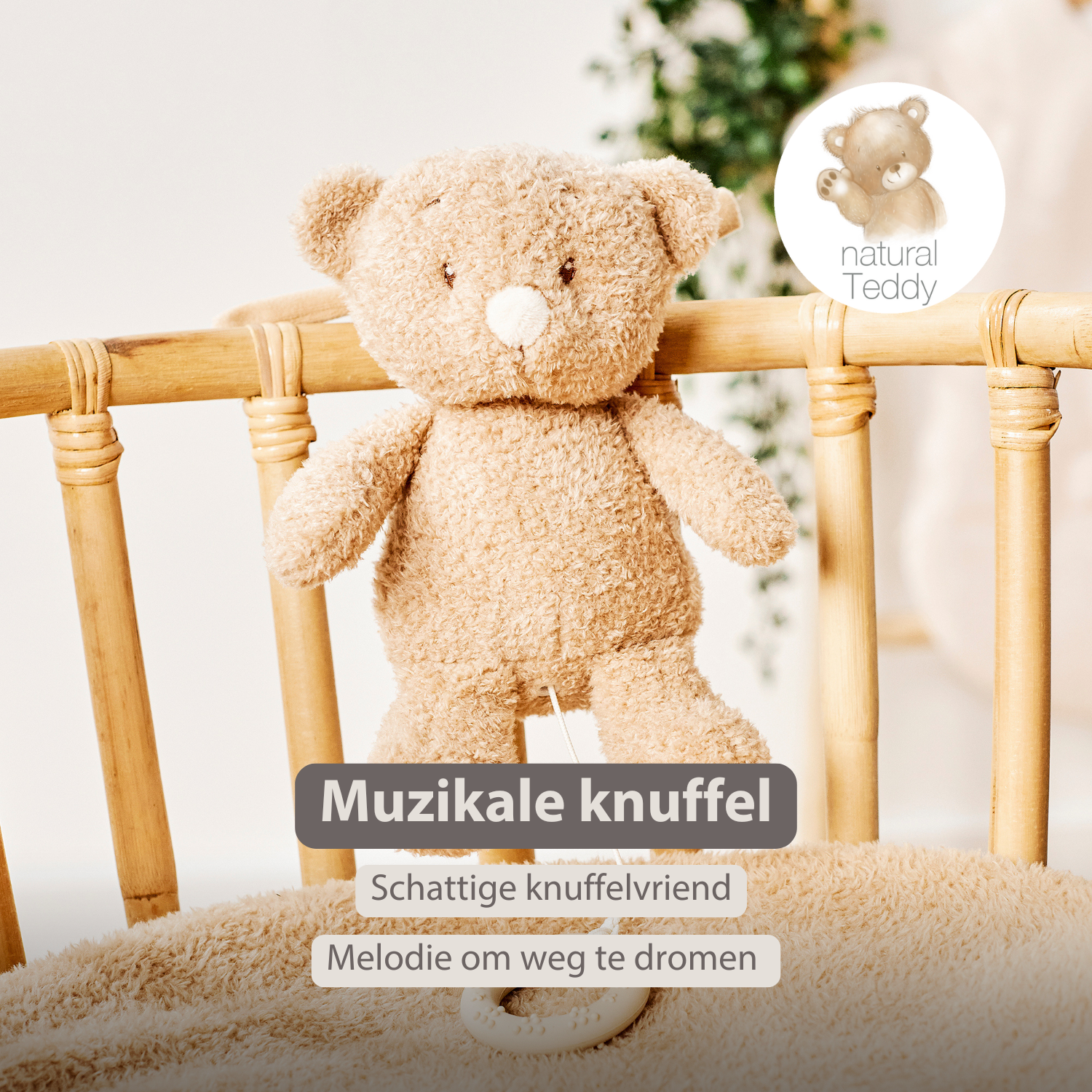 TEDDY Music Plush Bear – 25 cm – Soft Plush Toy with Music – Beige [NL]