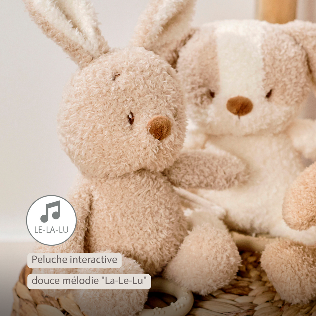 TEDDY Music Plush Bunny – 25 cm – Soft Plush Toy with Music – Beige [FR]