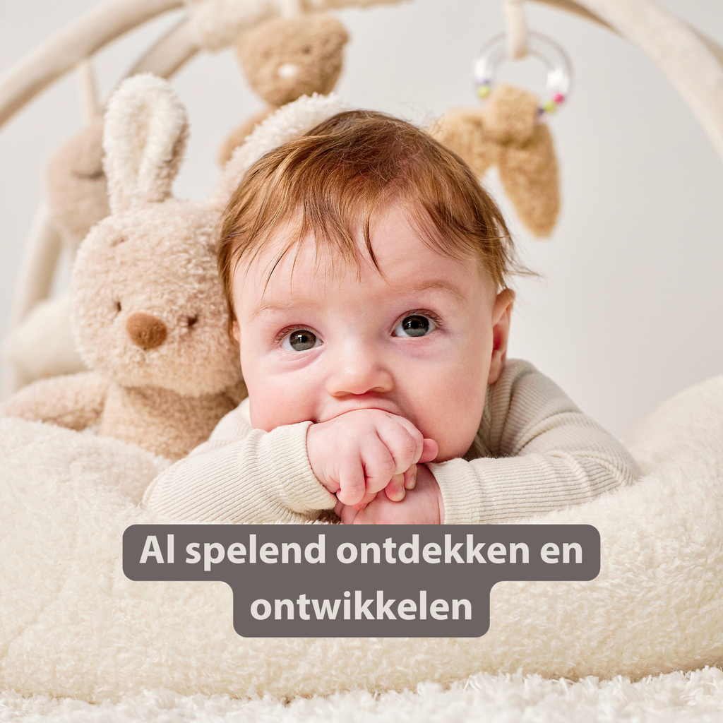TEDDY Baby Playmat with Arches Round – 90 x 90 cm – Baby Activity Play Rug – Padded Edges [NL]