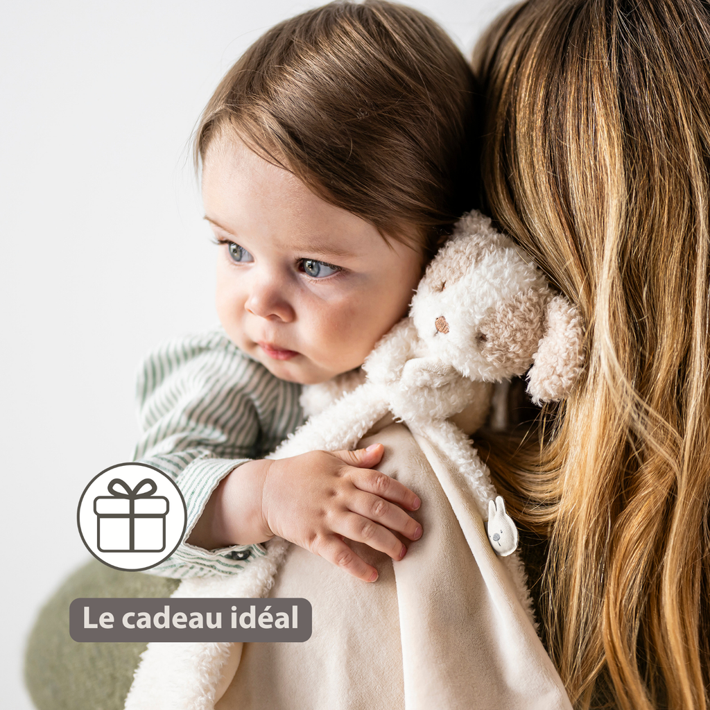 TEDDY Baby Comfort Blanket with Cuddle Toy – 27 x 27 cm – Doudou Dog – Beige [FR]