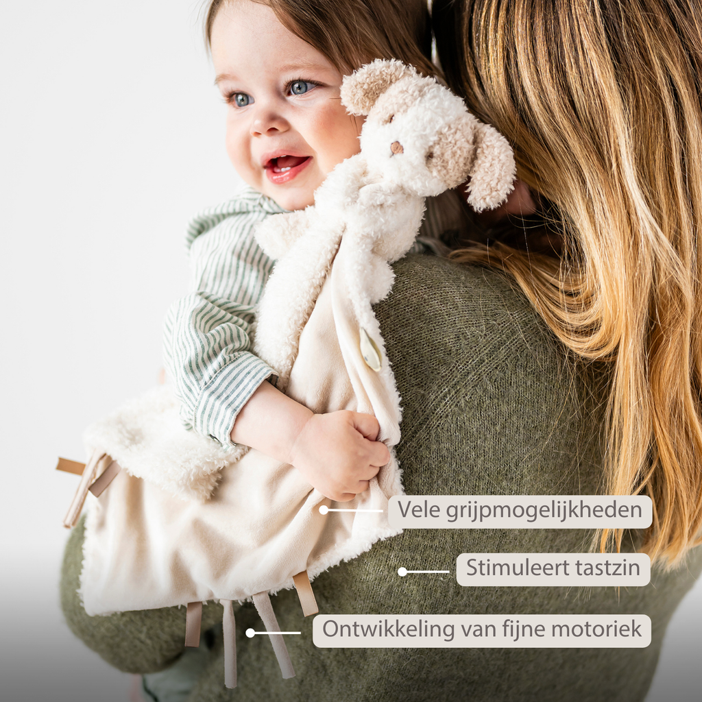TEDDY Baby Comfort Blanket with Cuddle Toy – 27 x 27 cm – Doudou Dog – Beige [NL]