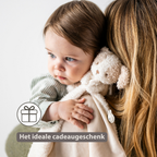 TEDDY Baby Comfort Blanket with Cuddle Toy – 27 x 27 cm – Doudou Dog – Beige [NL]