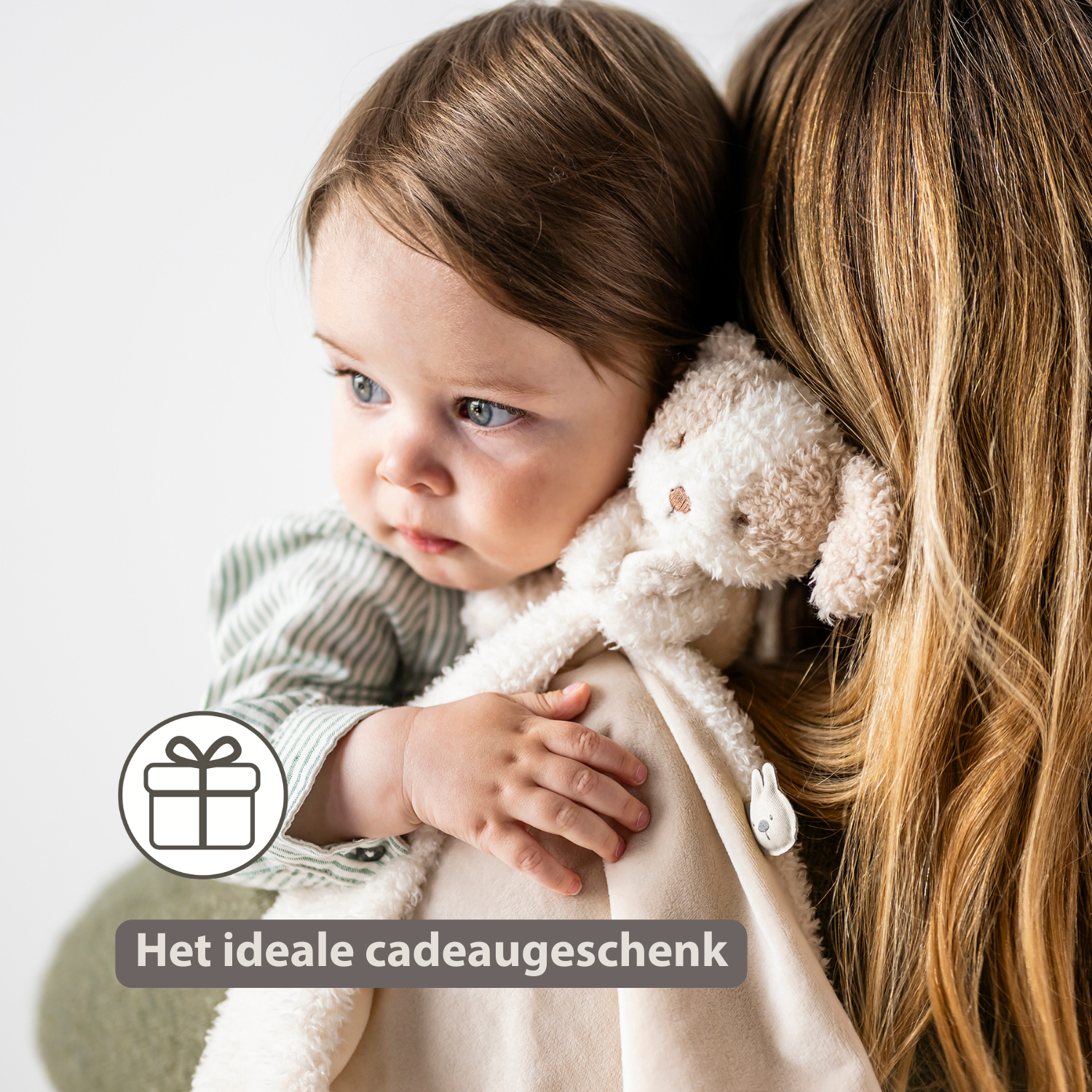 TEDDY Baby Comfort Blanket with Cuddle Toy – 27 x 27 cm – Doudou Dog – Beige [NL]
