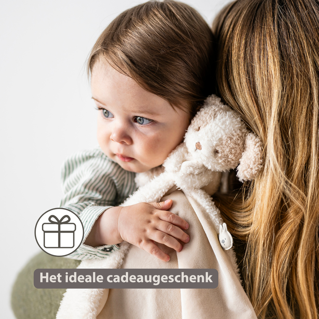 TEDDY Baby Comfort Blanket with Cuddle Toy – 27 x 27 cm – Doudou Dog – Beige [NL]