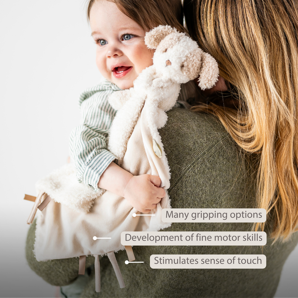 TEDDY Baby Comfort Blanket with Cuddle Toy – 27 x 27 cm – Doudou Dog – Beige [EN]