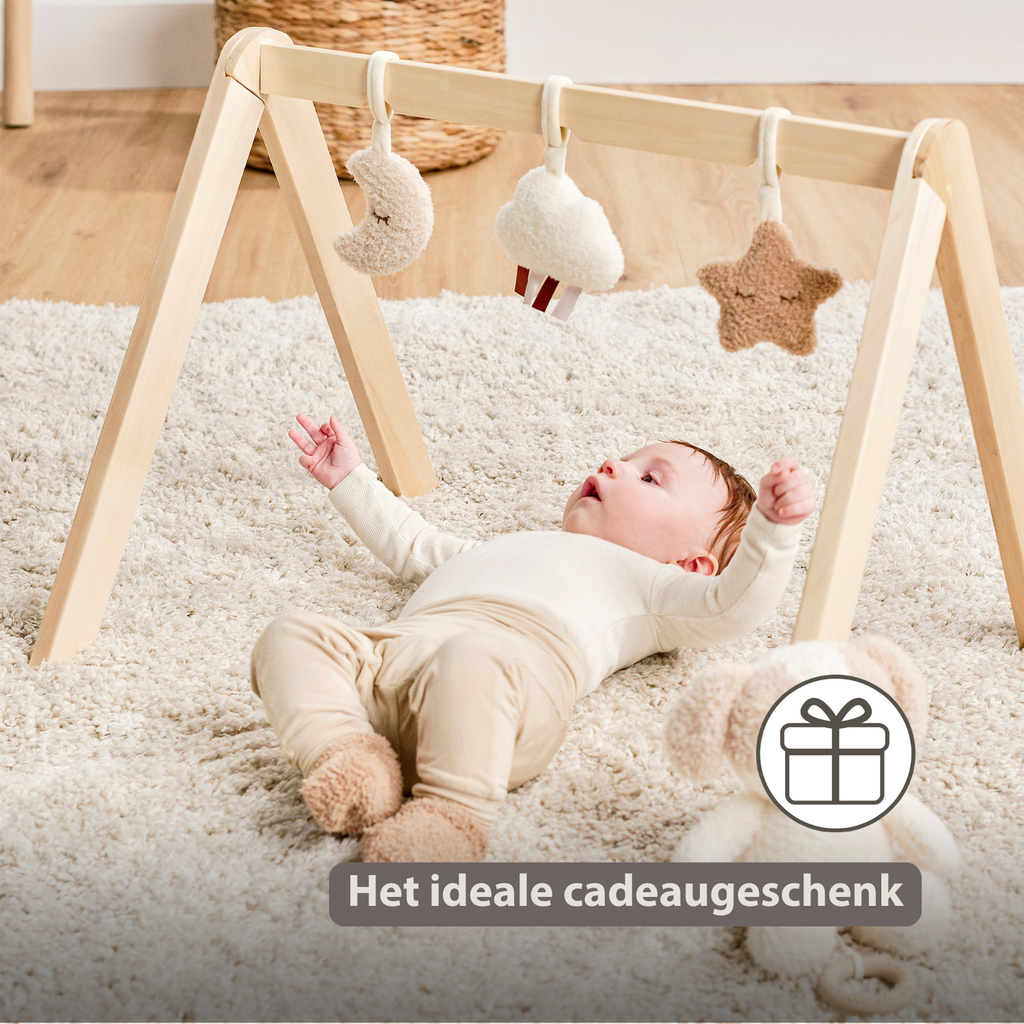 TEDDY Wooden Play Arch Baby – 60 x 48 cm – Baby Activity Play Gym [NL]