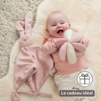 Lapidou Ball - Activity Plush - 17 cm - Pink [FR]