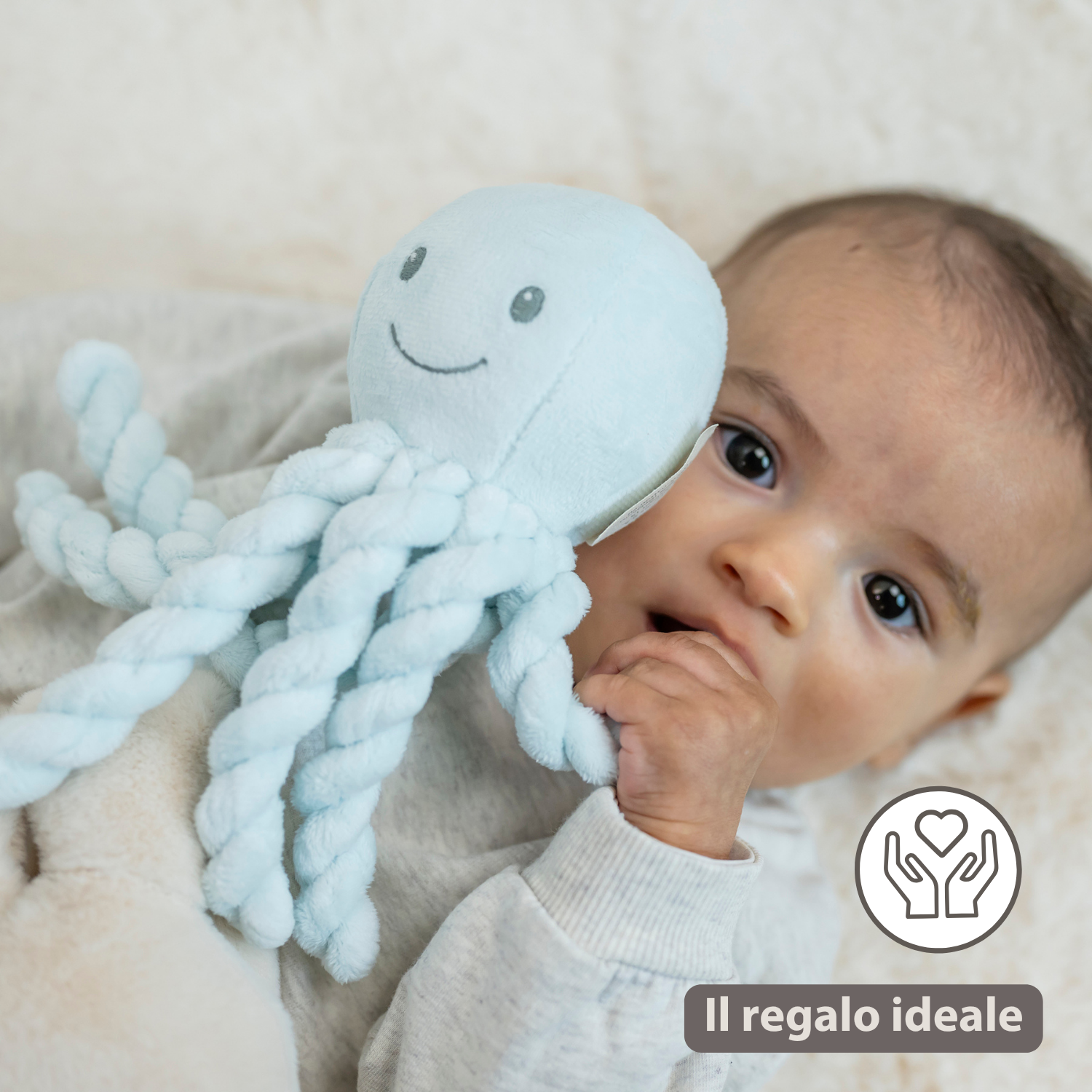 Lapidou Plush Octopus - 22 cm - Blue [IT]