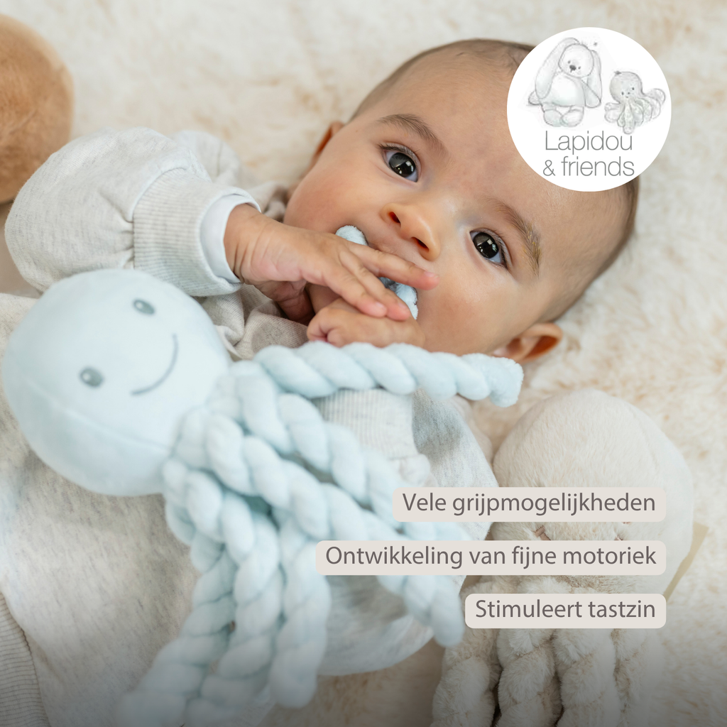 Lapidou Plush Octopus - 22 cm - Blue [NL]