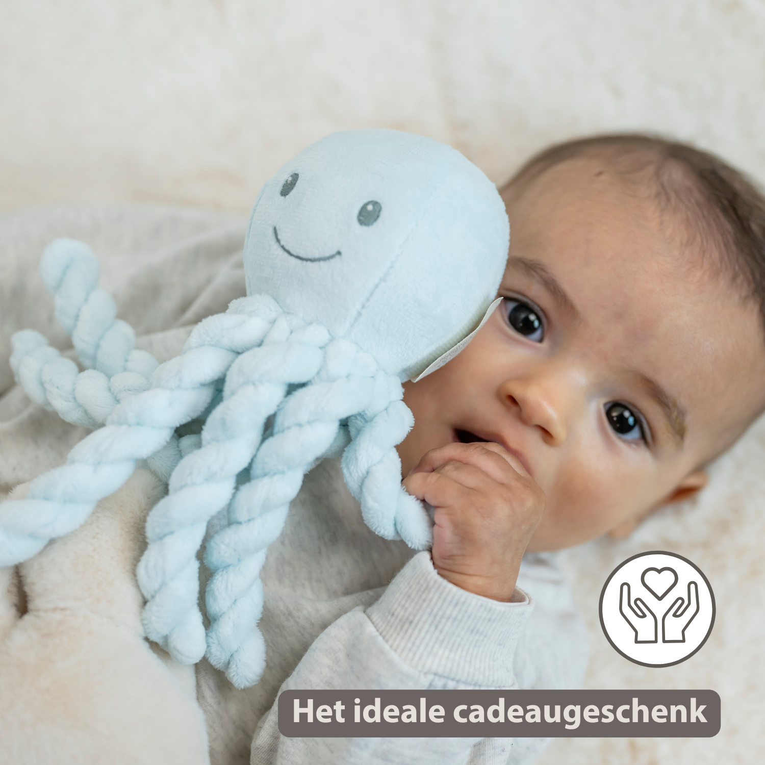 Lapidou Plush Octopus - 22 cm - Blue [NL]