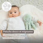 Lapidou Doudou Plush Octopus - 22 cm - Linden Green [FR]