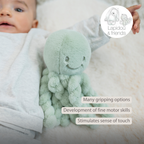 Lapidou Doudou Plush Octopus - 22 cm - Linden Green [EN]