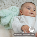Lapidou Doudou Plush Octopus Rattle - 25 cm - Linden Green [NL]