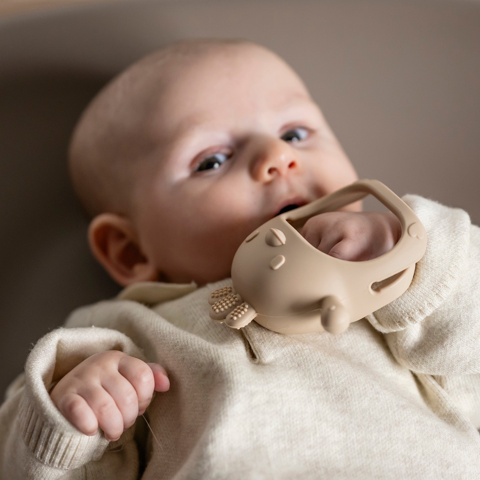Nattou glove teether SILICONE