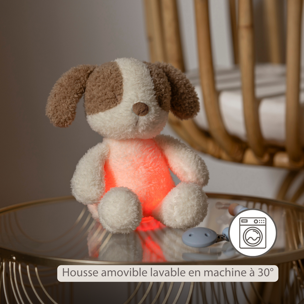 TEDDY Baby Night Light Dog – 25 cm – Soft Baby Plush – Beige [FR]
