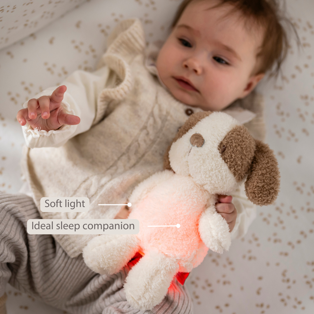 TEDDY Baby Night Light Dog – 25 cm – Soft Baby Plush – Beige [EN]