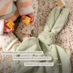 Lapidou Baby Comforter - 65 x 40 cm - Doudou Rabbit - Linden Green [FR]