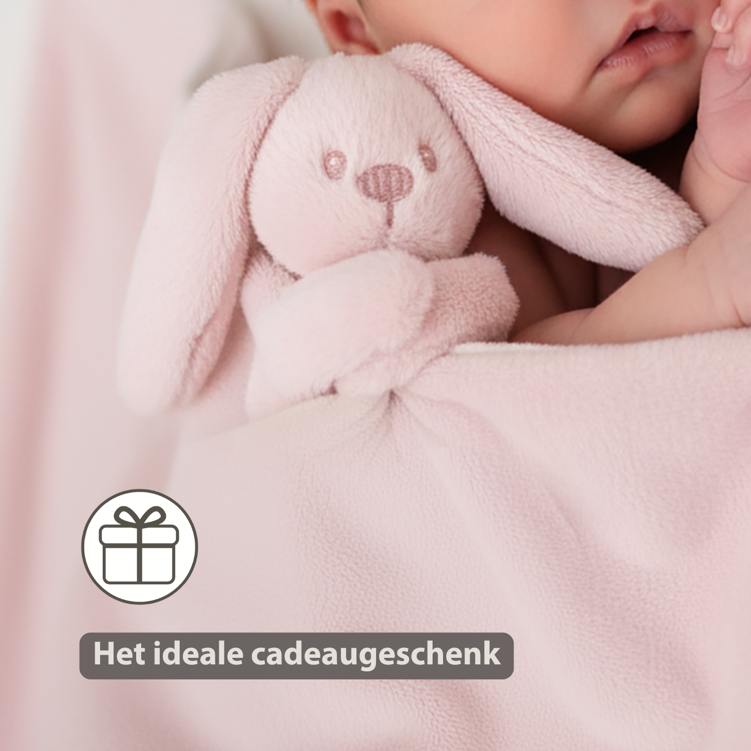 Lapidou Baby Blanket with Plush - 50 x 50 cm - Doudou Rabbit - Powder Pink [NL]