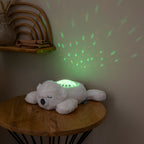 Night Light
