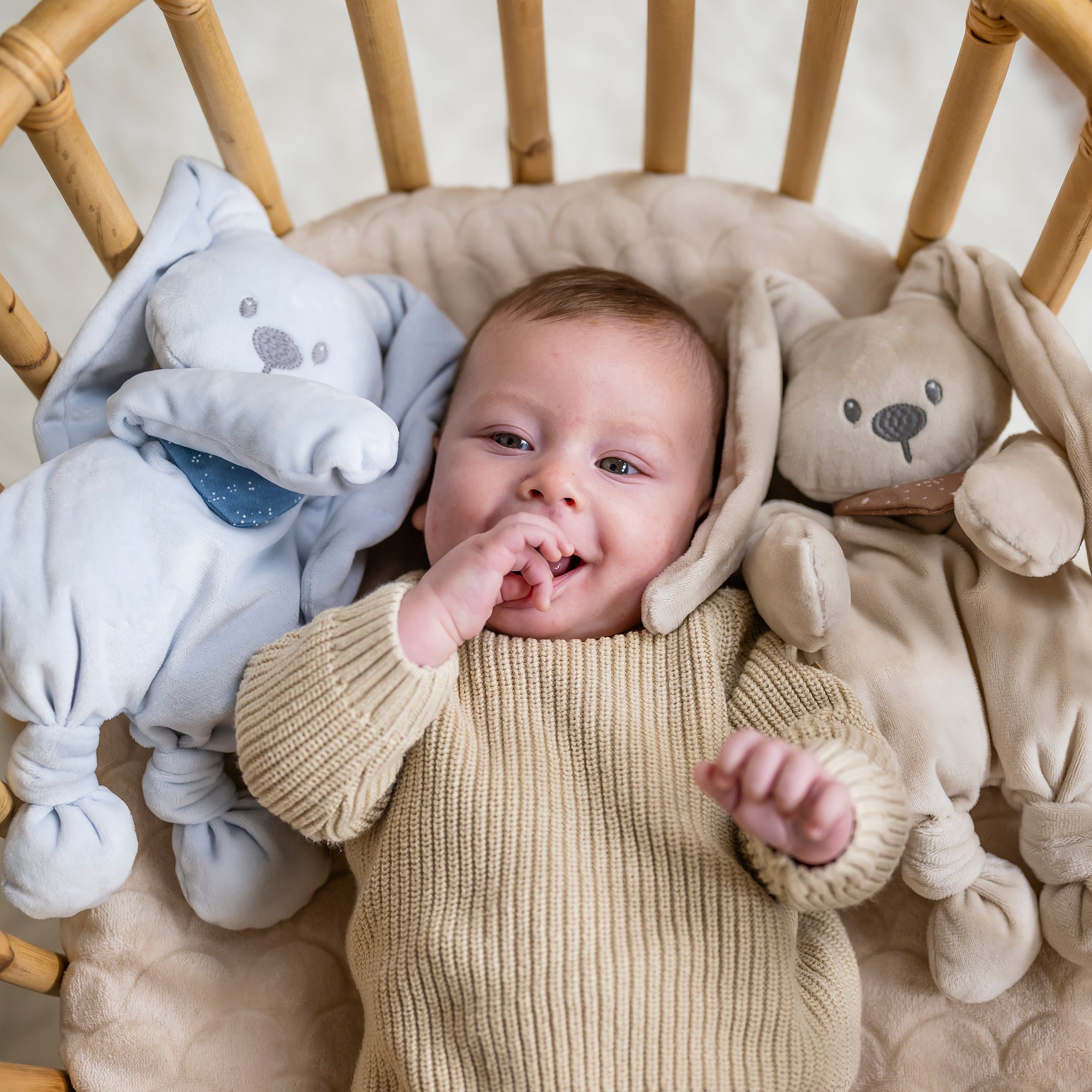 Peluche Lapin LAPIDOU