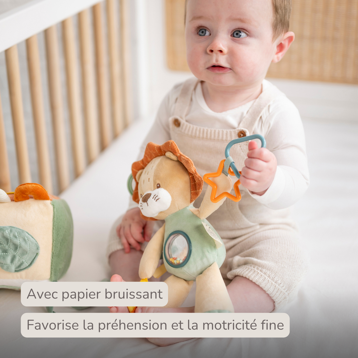 Activity Plush Toy Lion Leon - 25 cm - Soft Baby Plush Toy - Multicolored [FR]