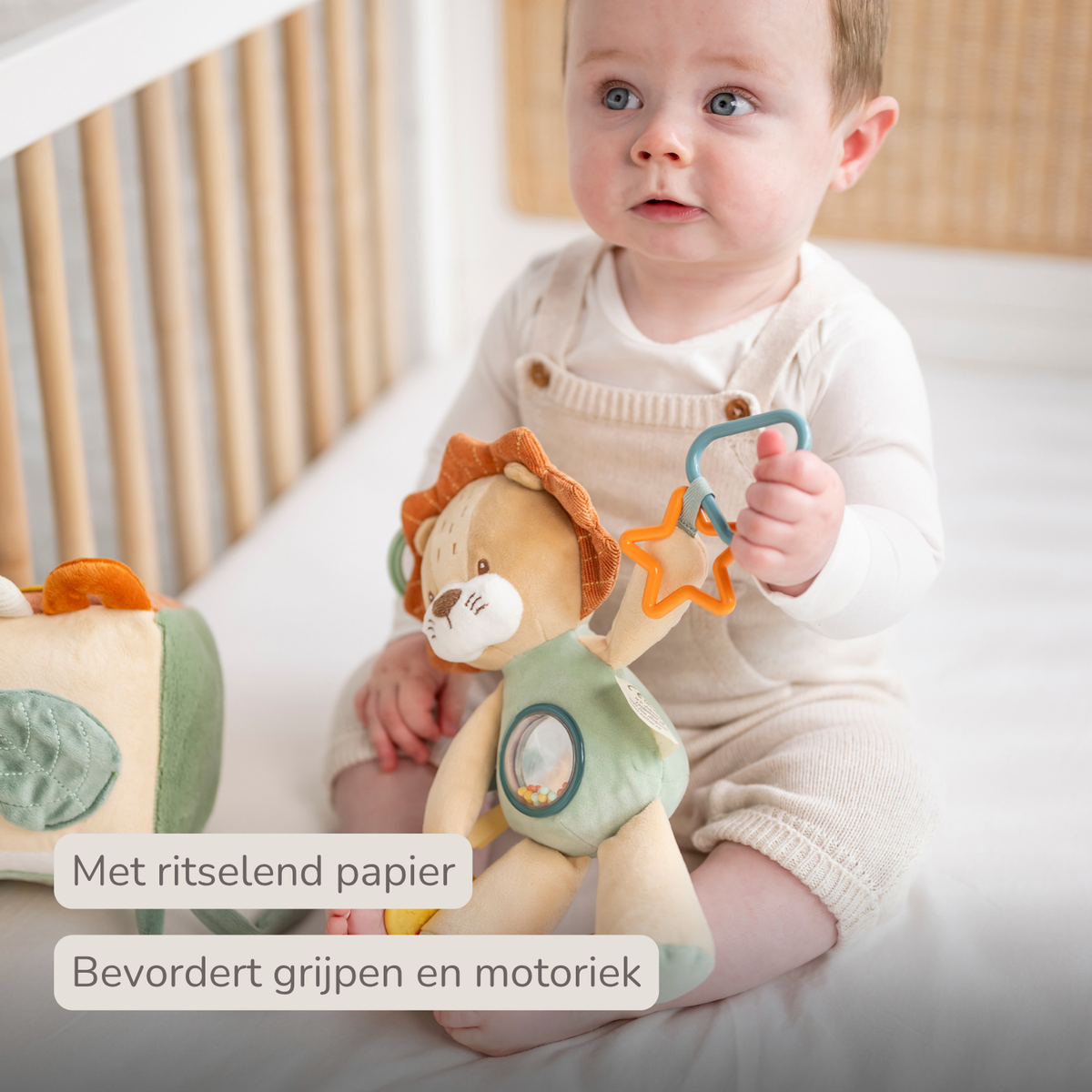 Activity Plush Toy Lion Leon - 25 cm - Soft Baby Plush Toy - Multicolored [NL]