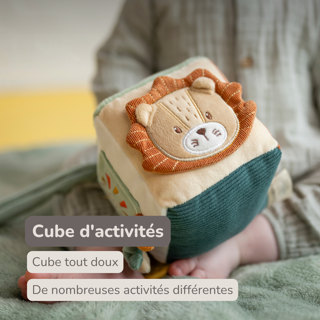 Soft Activity Cube Lion Léon - Baby Toy - 11 cm - Multicolored [FR]