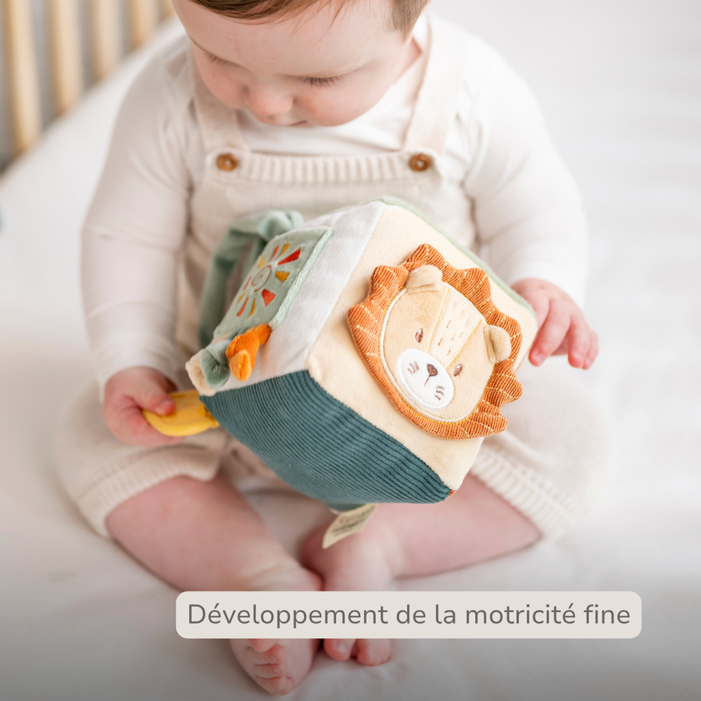 Soft Activity Cube Lion Léon - Baby Toy - 11 cm - Multicolored [FR]