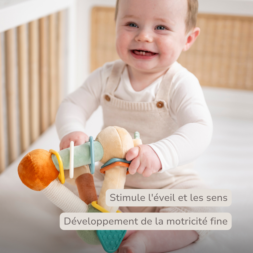 Soft Activity Pyramid Lion Léon - Baby Toy - 18 cm - Multicolored [FR]