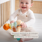 Soft Activity Pyramid Lion Léon - Baby Toy - 18 cm - Multicolored [NL]