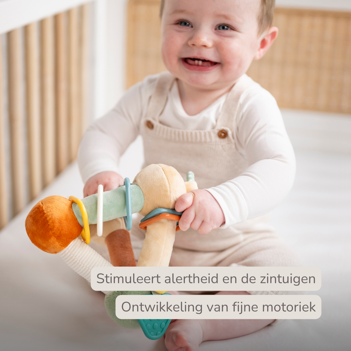 Soft Activity Pyramid Lion Léon - Baby Toy - 18 cm - Multicolored [NL]