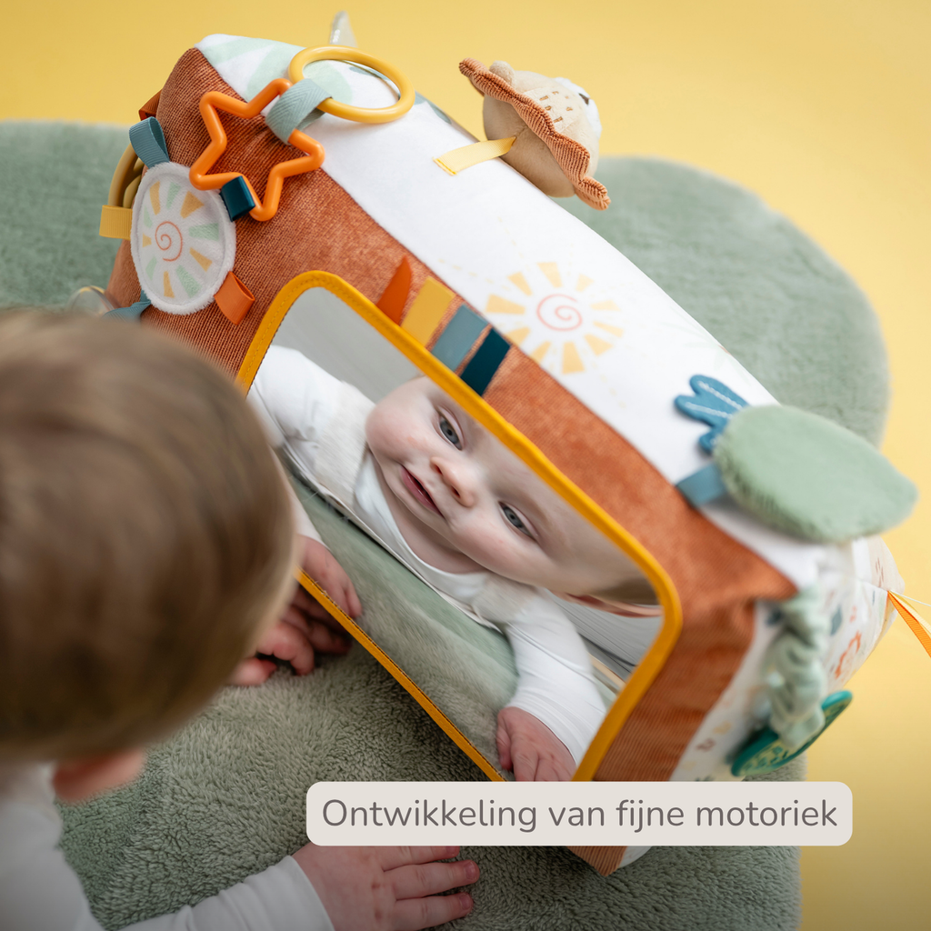 Soft Activity Triangle Lion Léon - Baby Toy - 33 x 18 cm - Multicolored [NL]