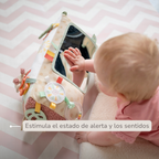 Soft Activity Triangle Giraffe Gina - Baby Toy 33 x 18 cm - Multicolored [ES]
