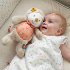 Nattou Cuddly Hedgehog Zoe