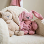 Nattou Cuddly Rabbit LAPIDOU