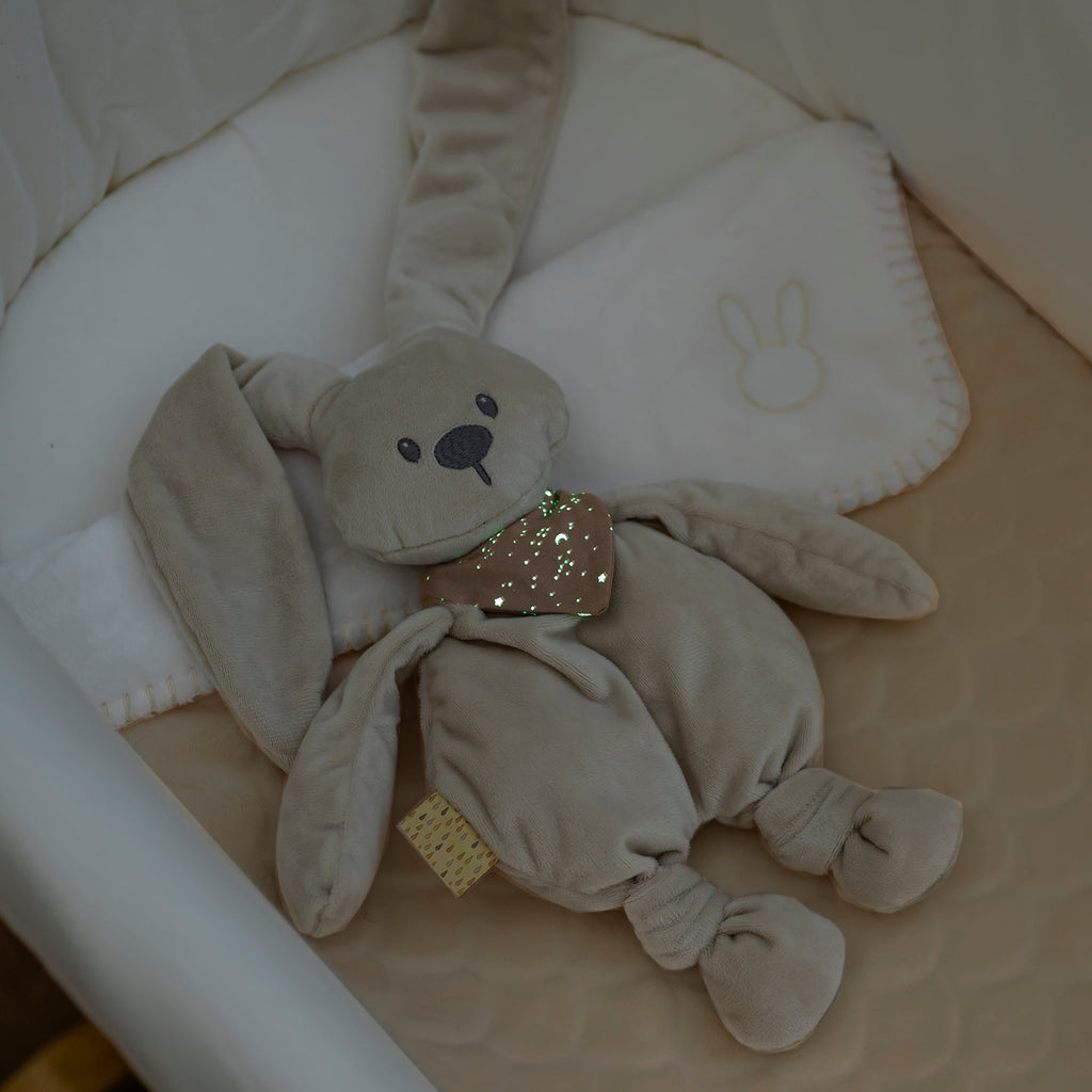 Nattou Cuddly Rabbit LAPIDOU